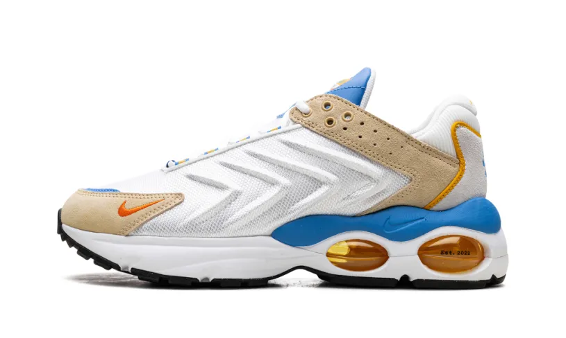 Nike Lifestyle Air Max TW 'Frank Rudy'